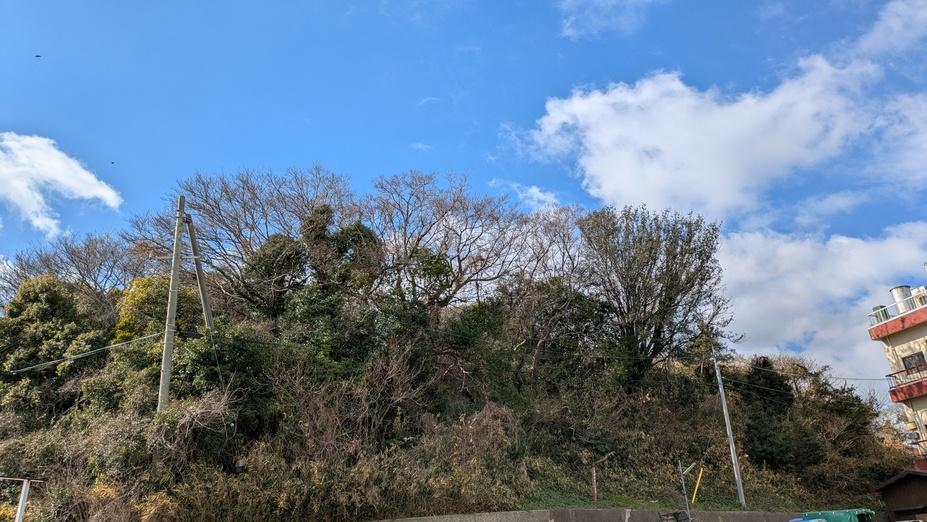 岩屋城