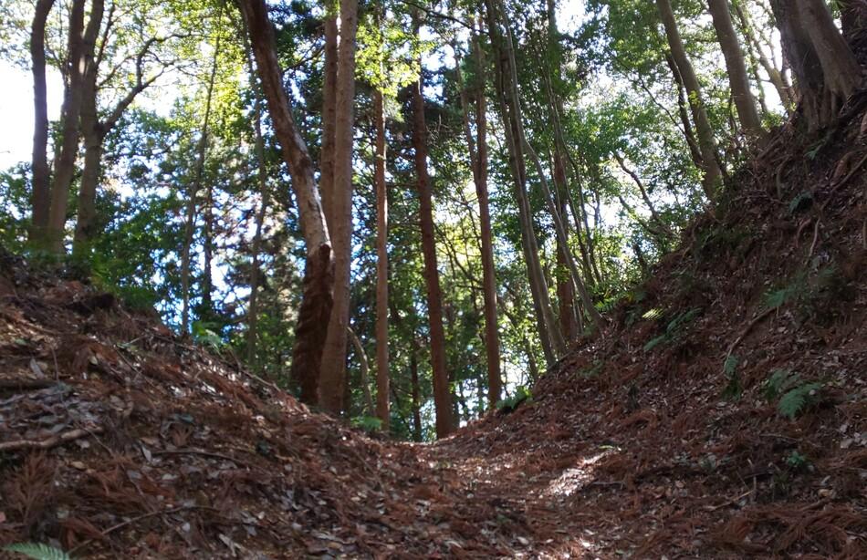 久米城