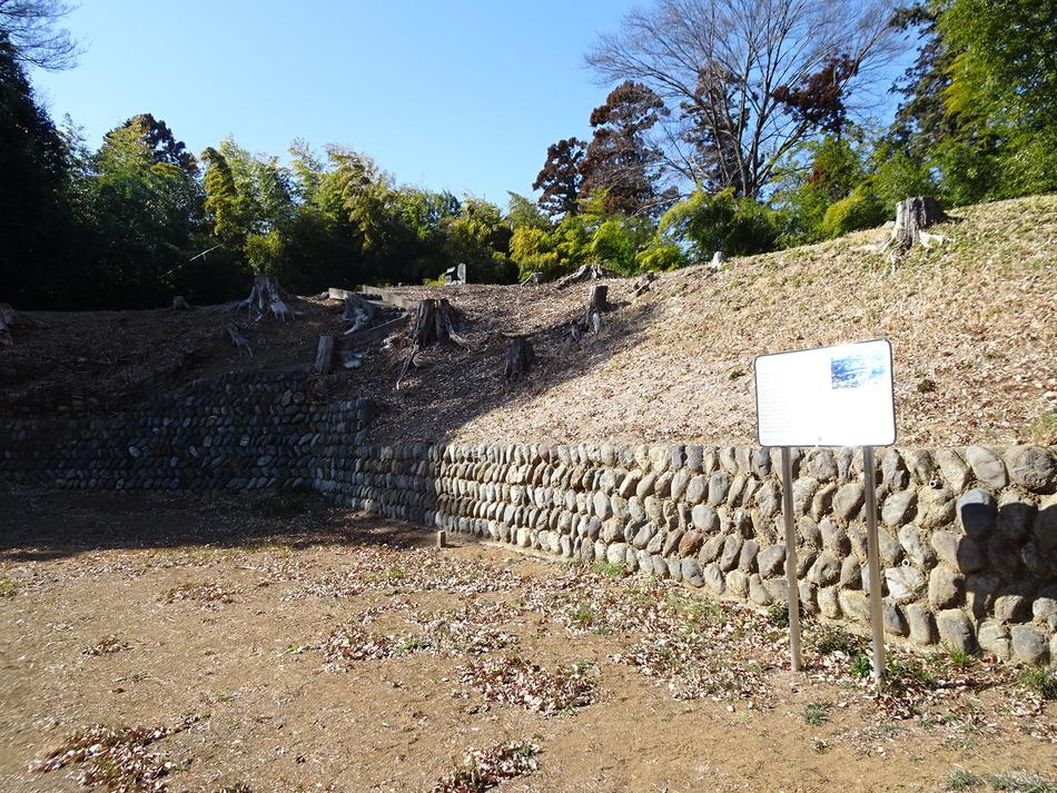 青鳥城