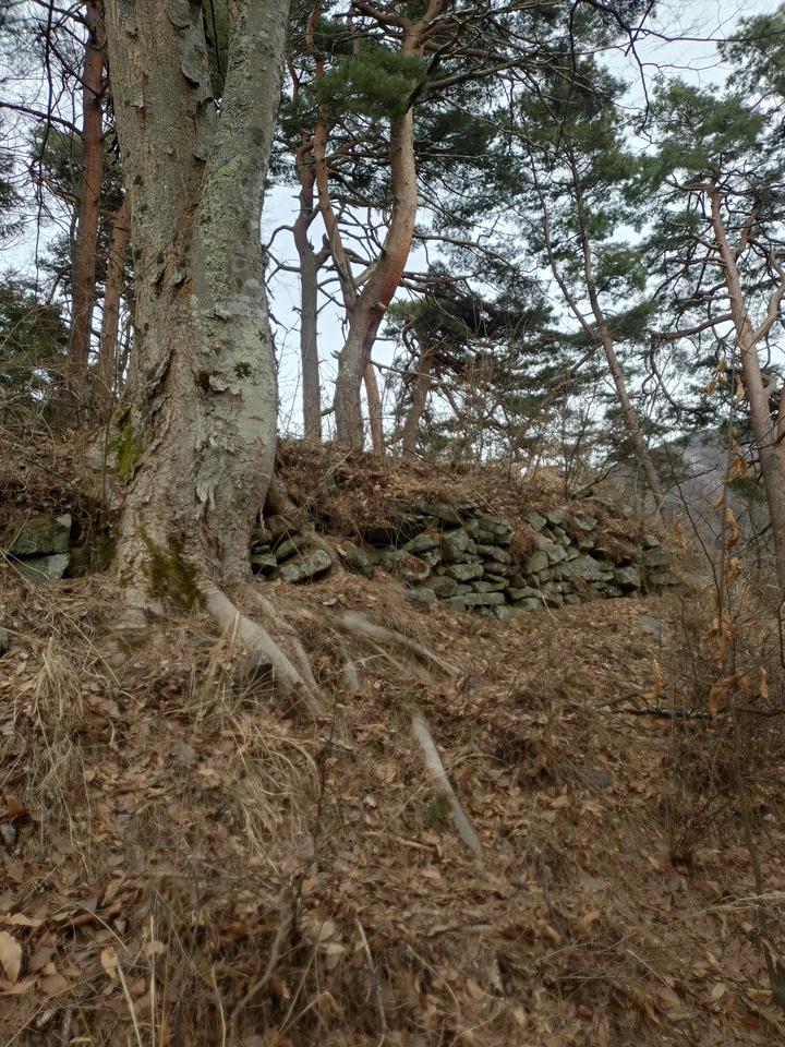 山家城