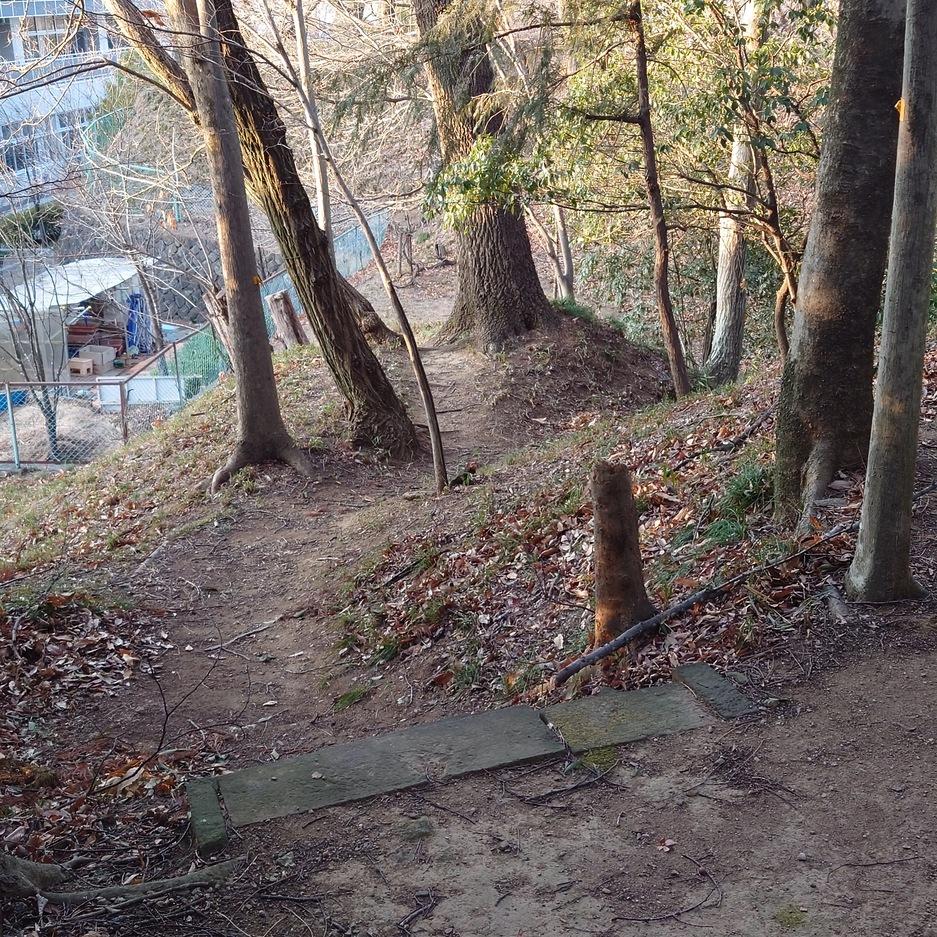 雉岡城