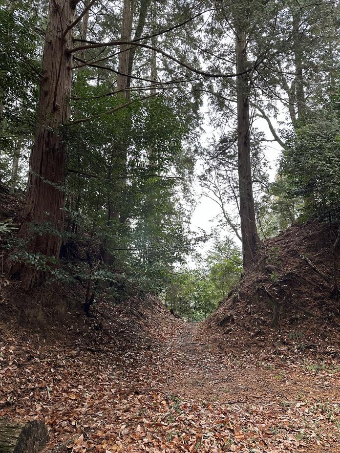 百地丹波城