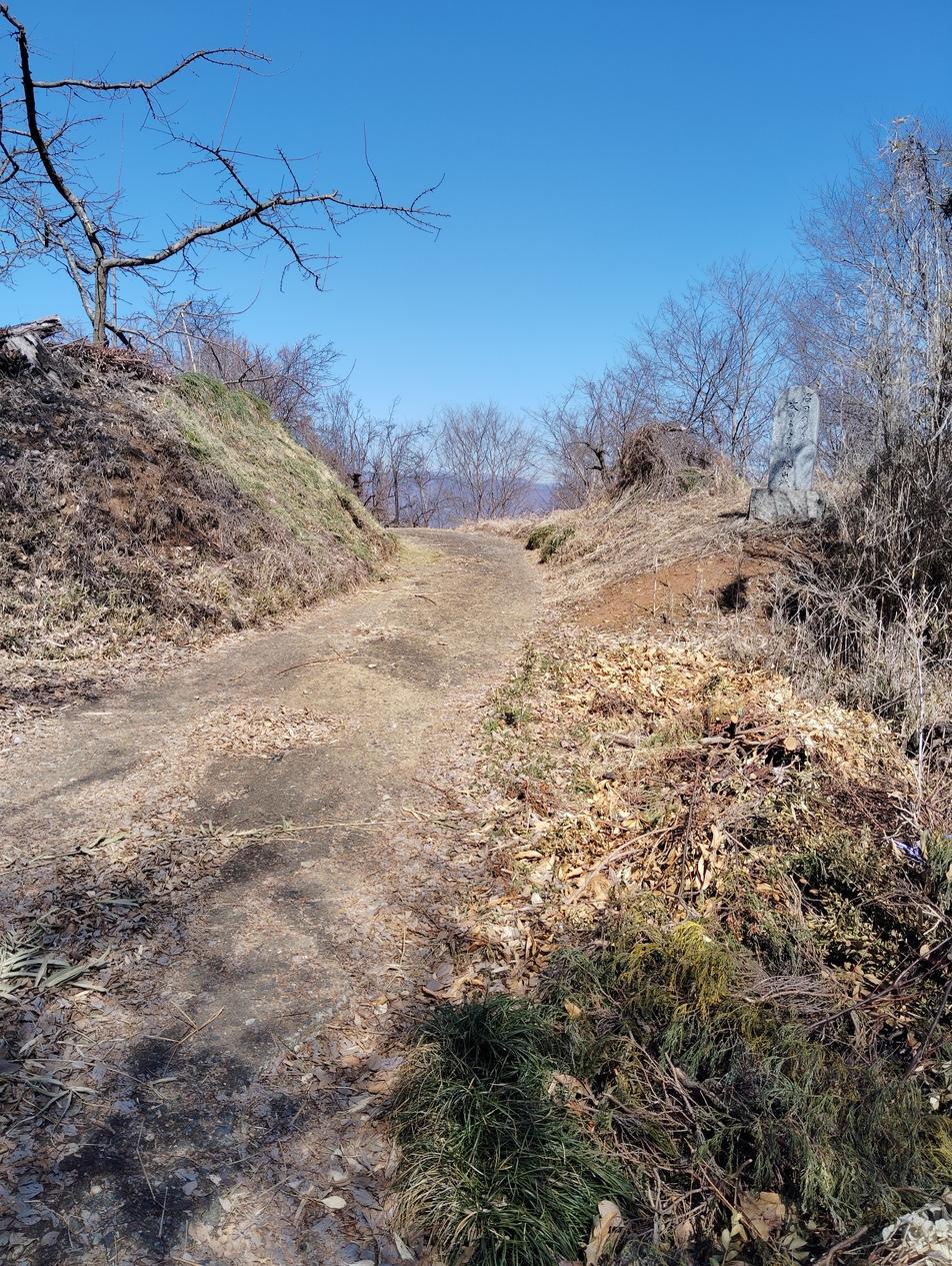 勝山城