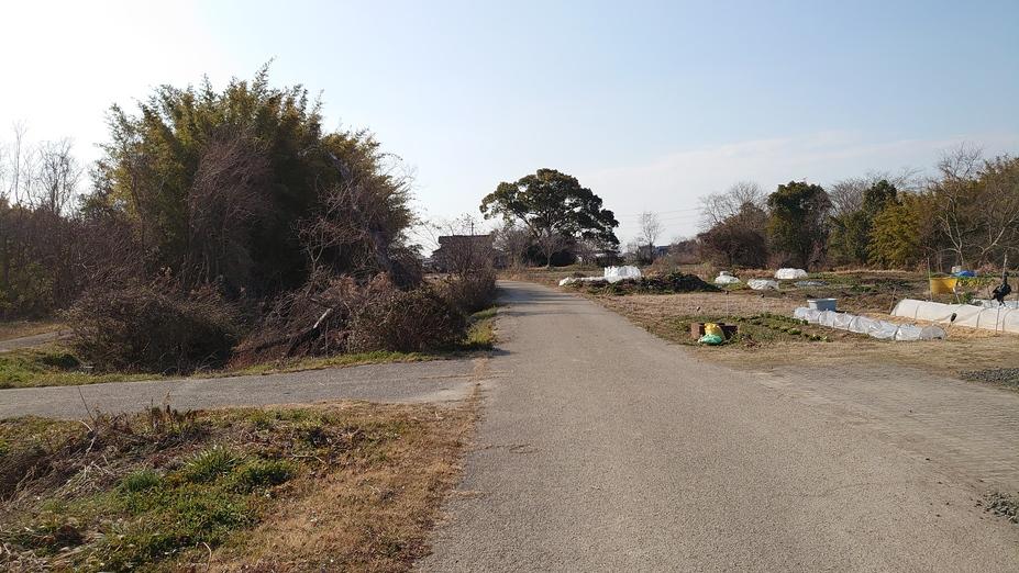 直鳥城