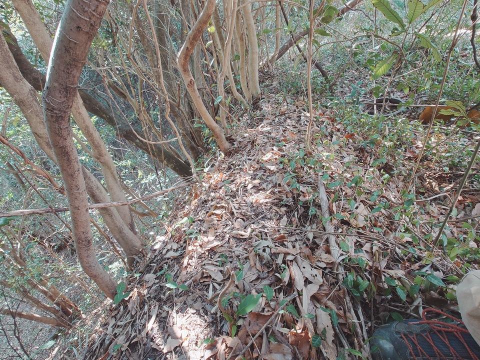 佐賀城