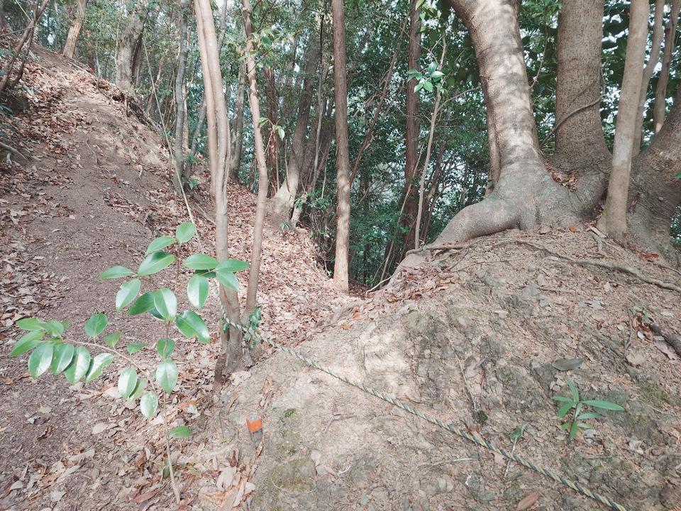 須崎城