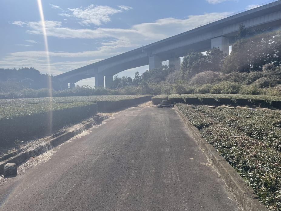 間門城