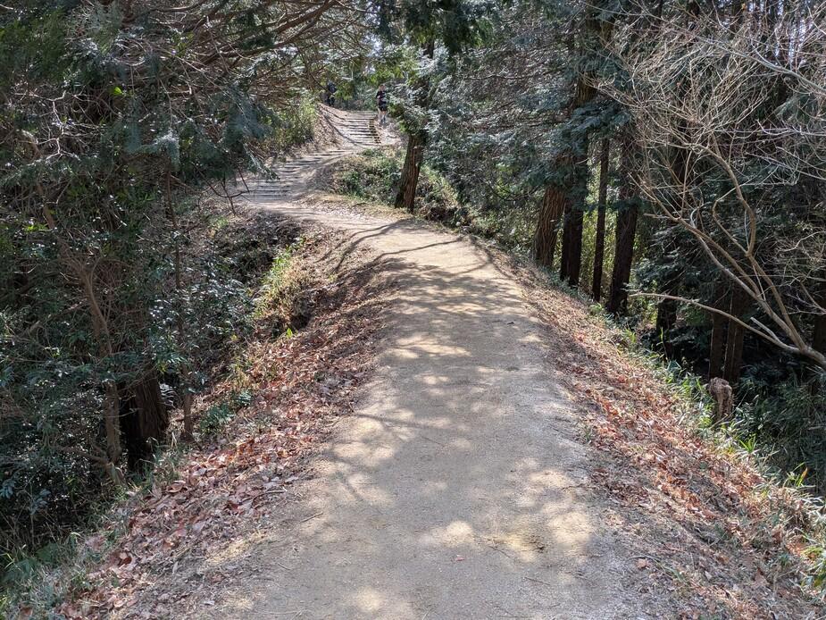 津田城