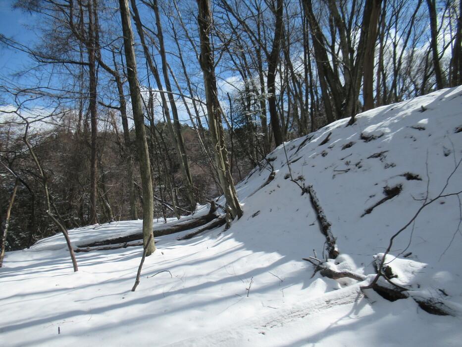 山吹城