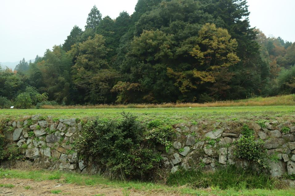 今田氏城館