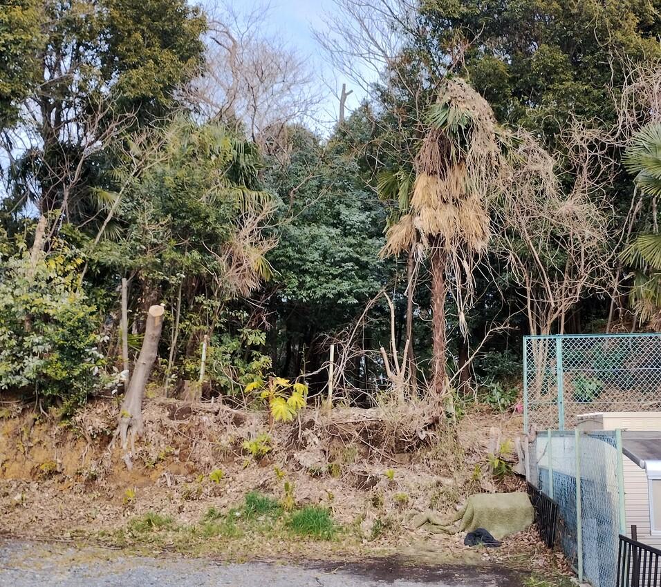北秋津城