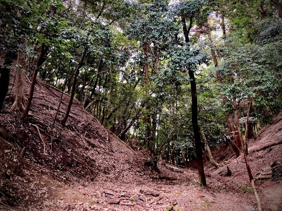 多聞山城