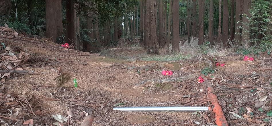 神宮寺城