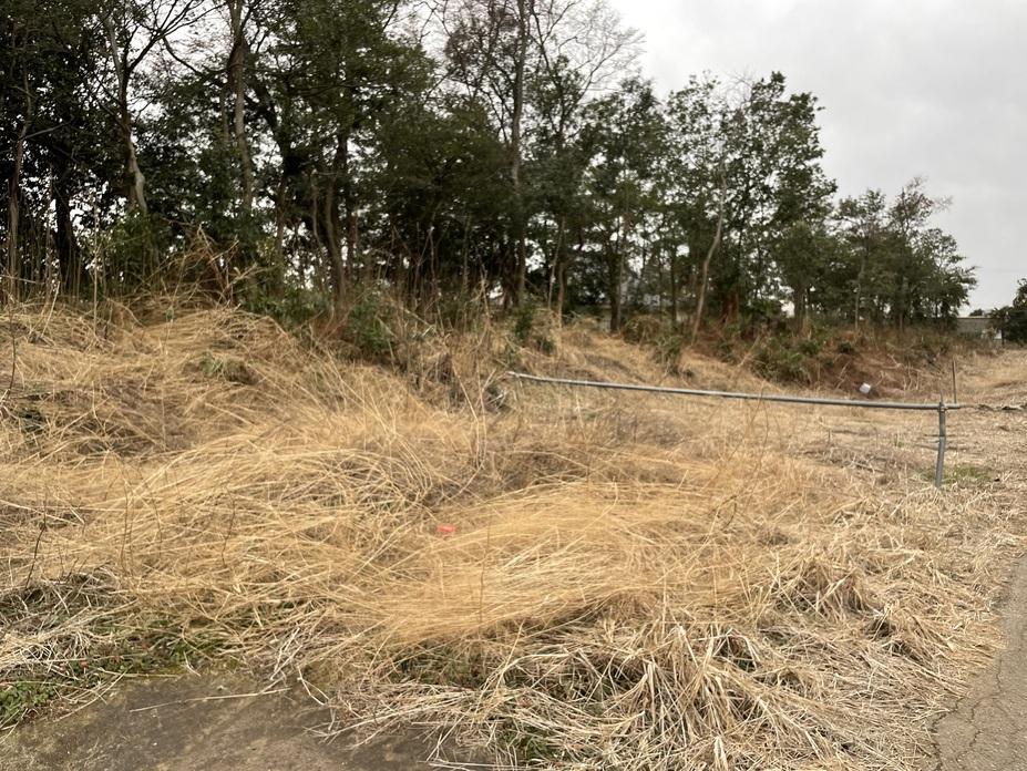 金野井城