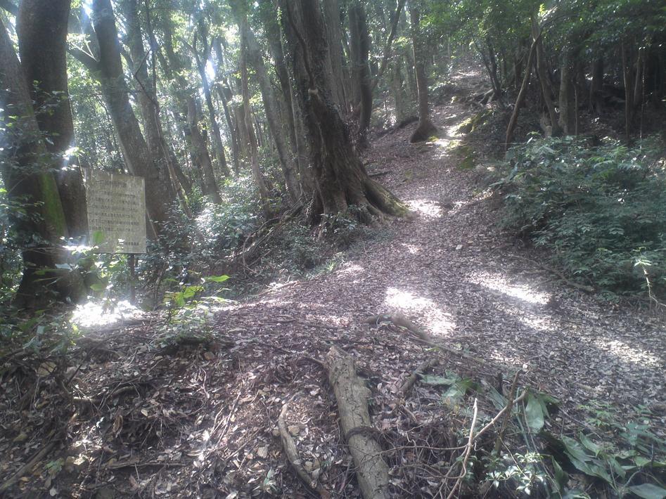三岳城