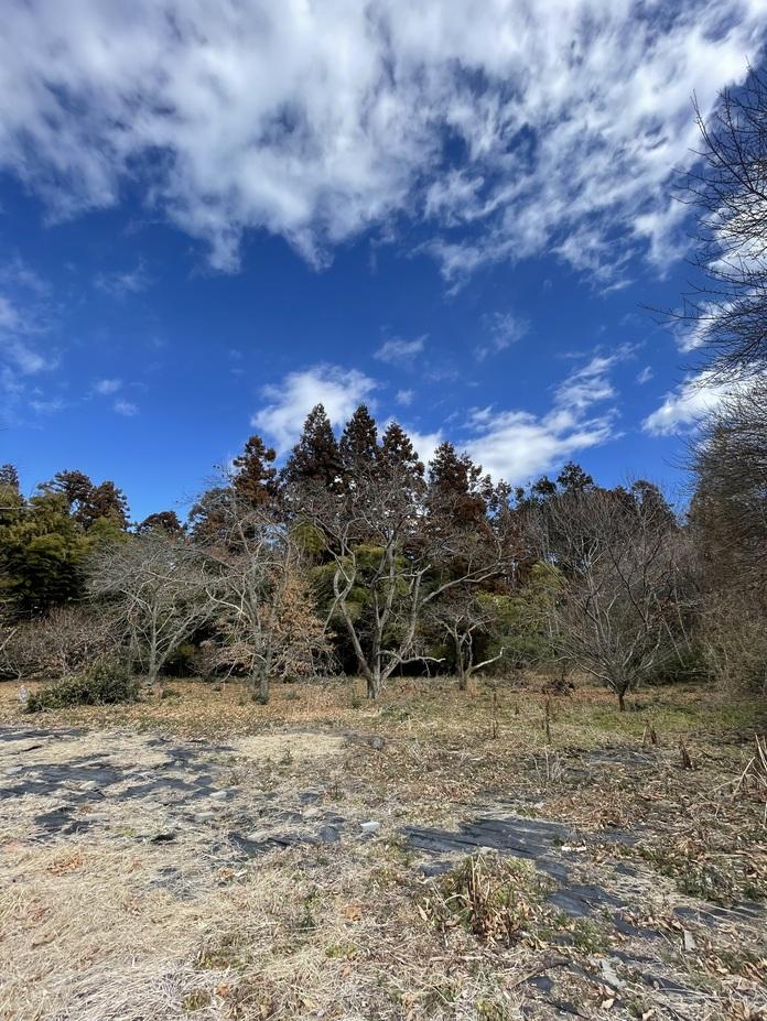 岡本城