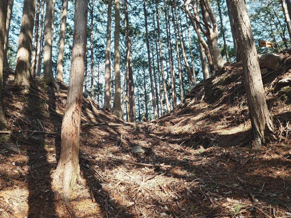 一之瀬城