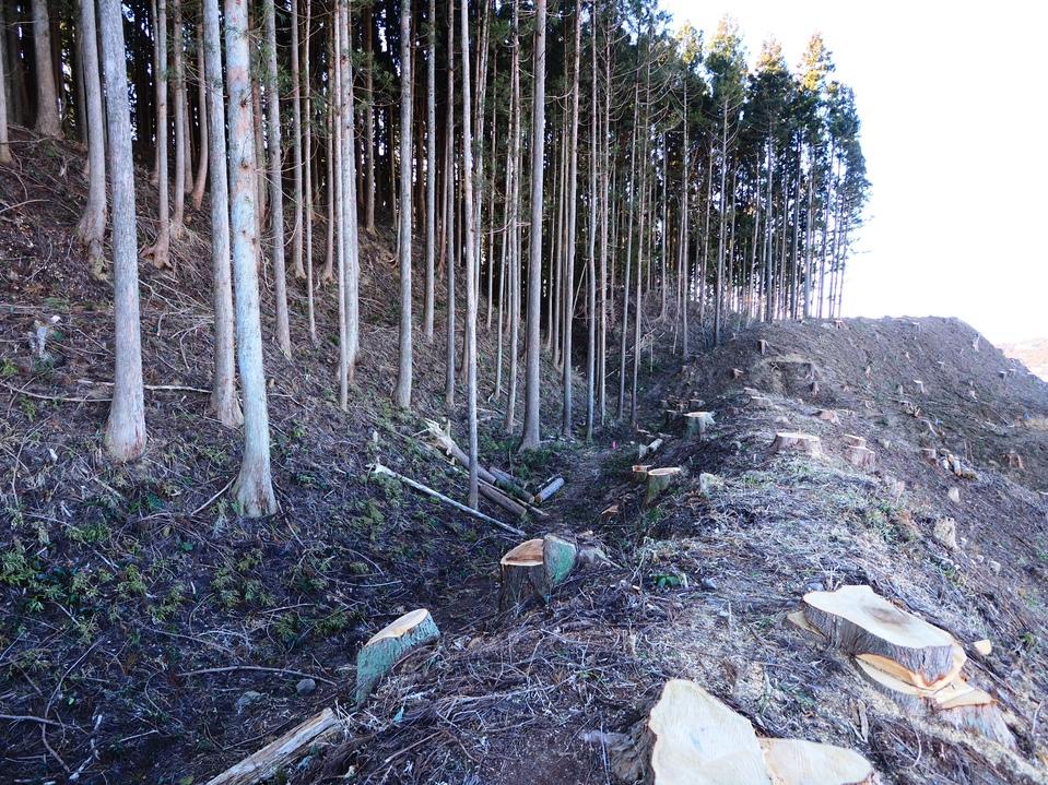 伊王野城