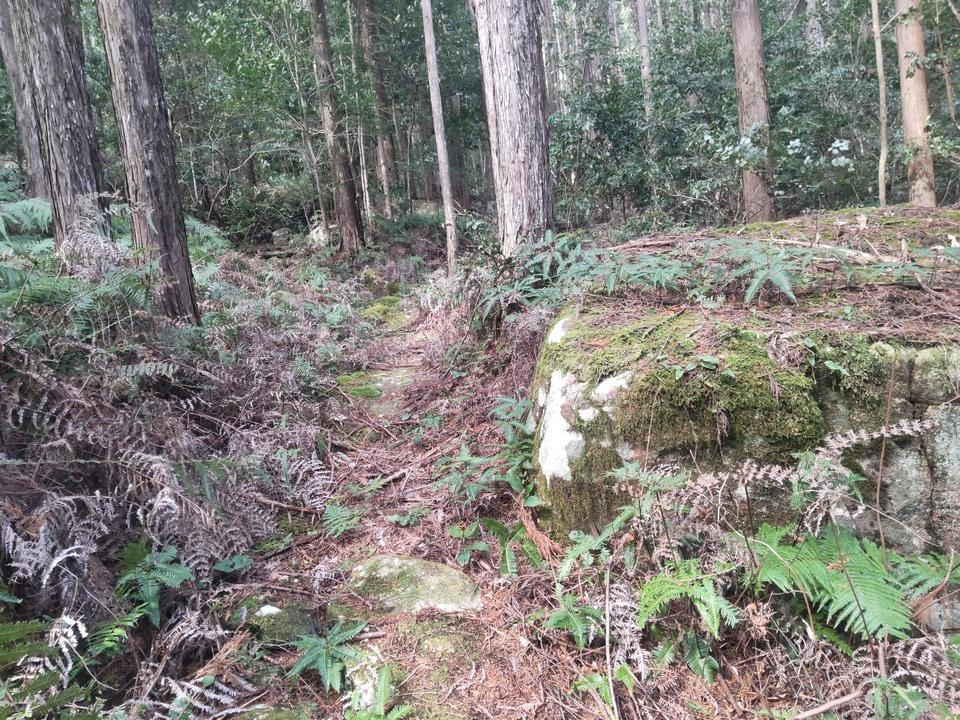 後山城