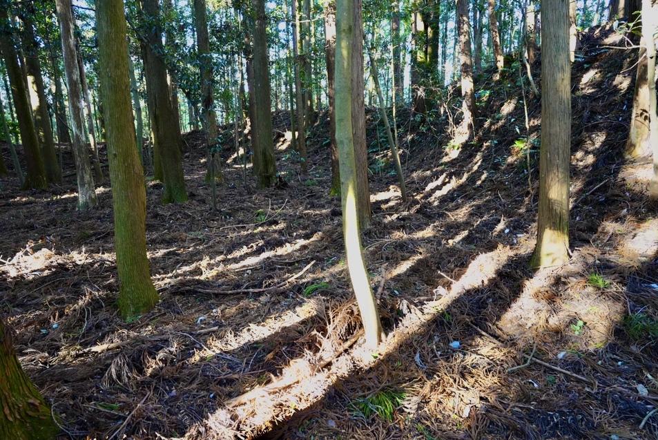加園城