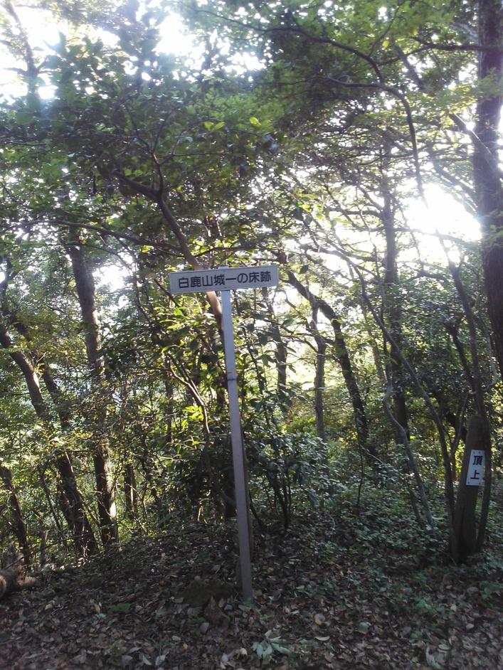 白鹿城