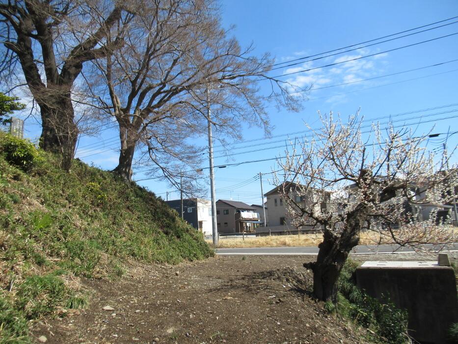 鷲城