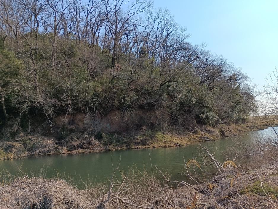 岩井山城