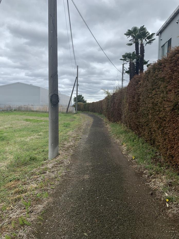 藤岡城
