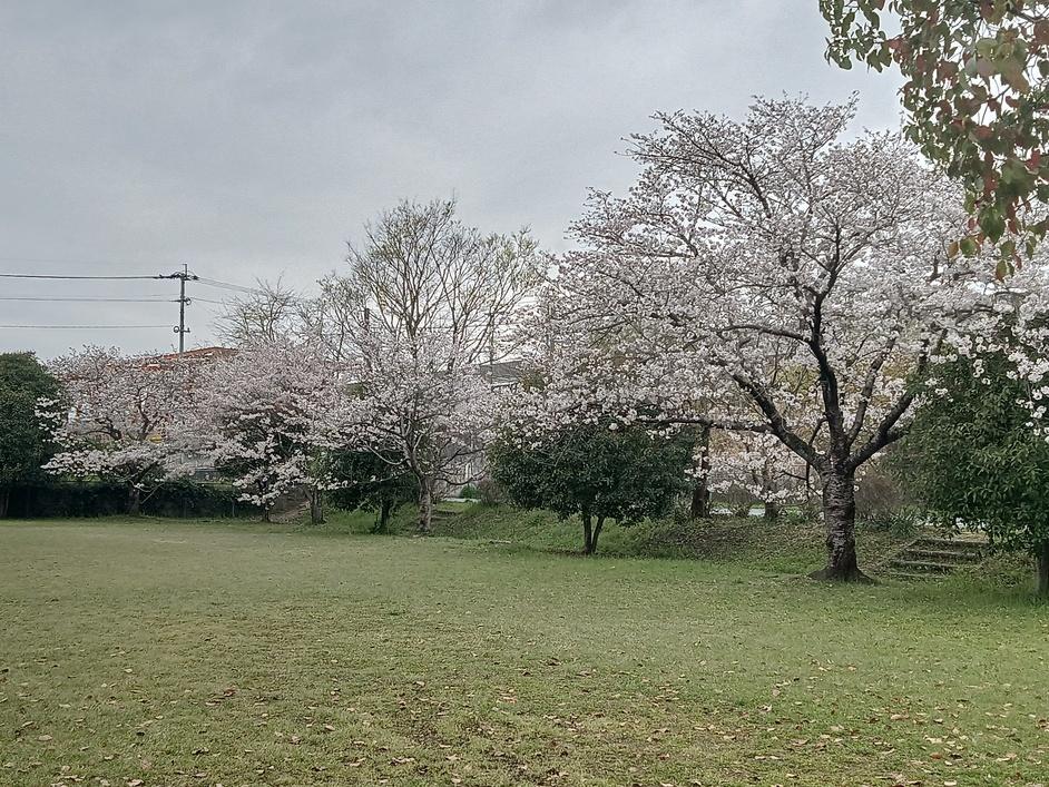 河尻城