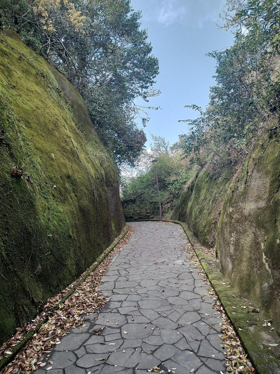 東福寺城