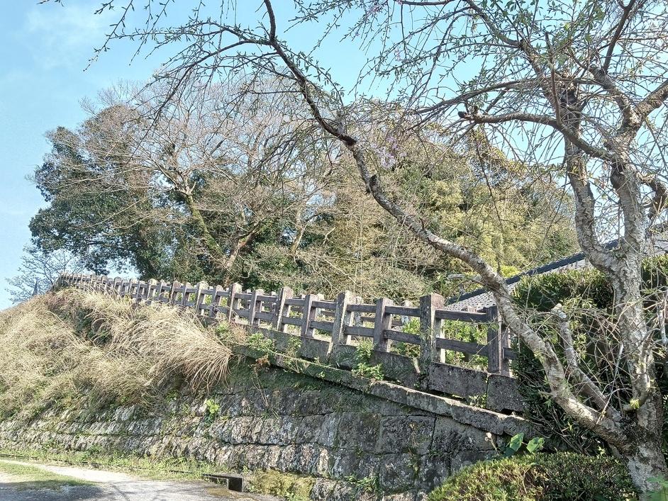 別府城