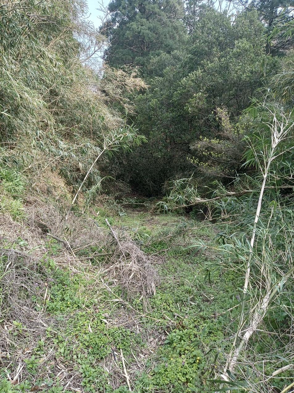 平山城