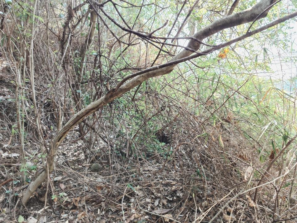本山城