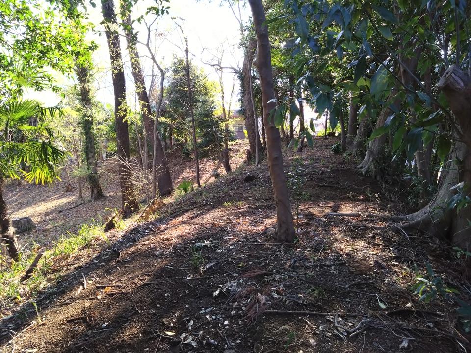 北秋津城