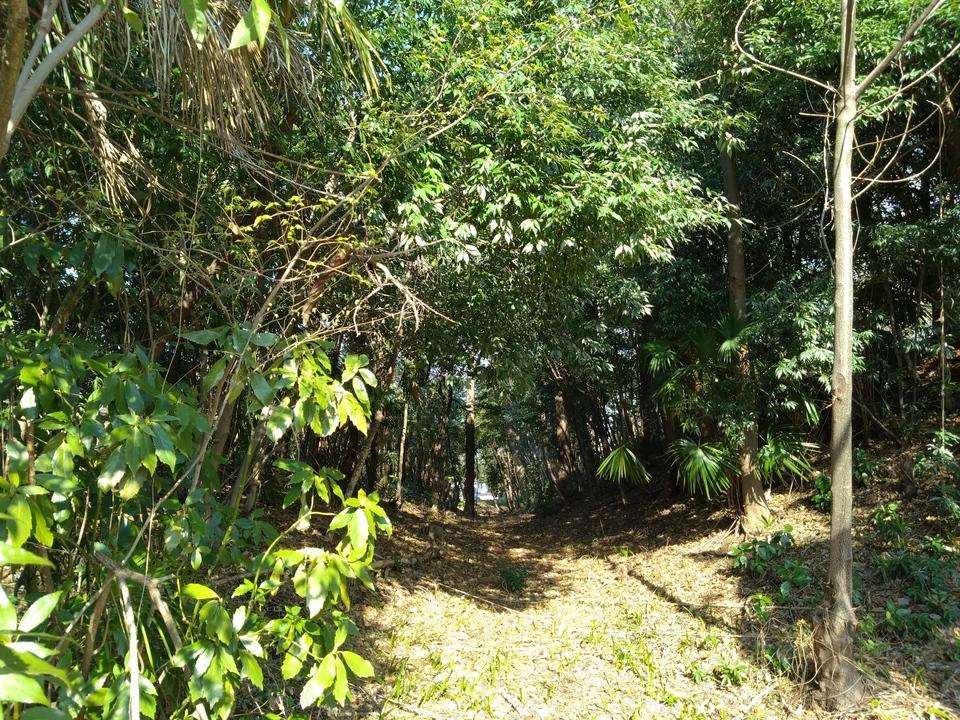 北秋津城