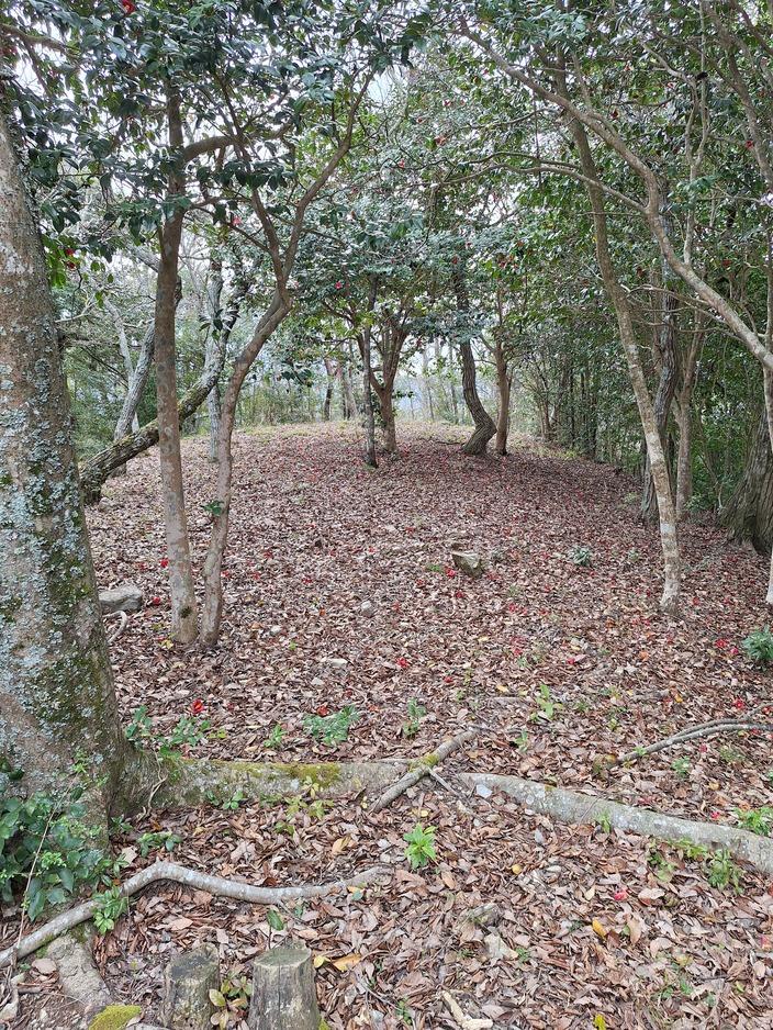 下瀬山城