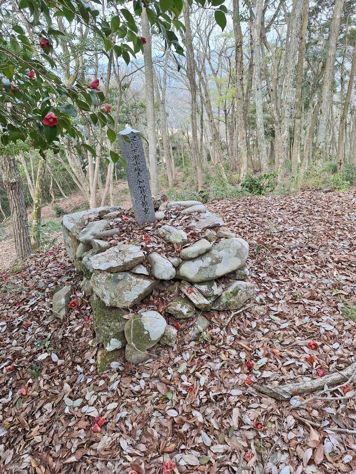 下瀬山城