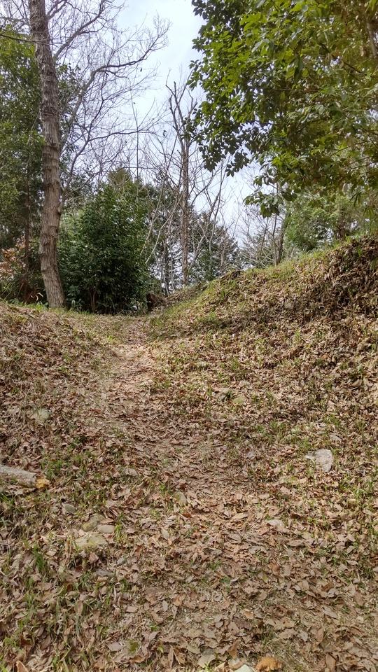 丸山城