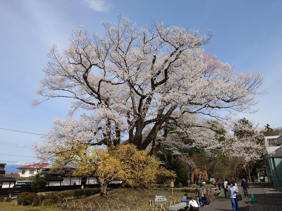 飯田城