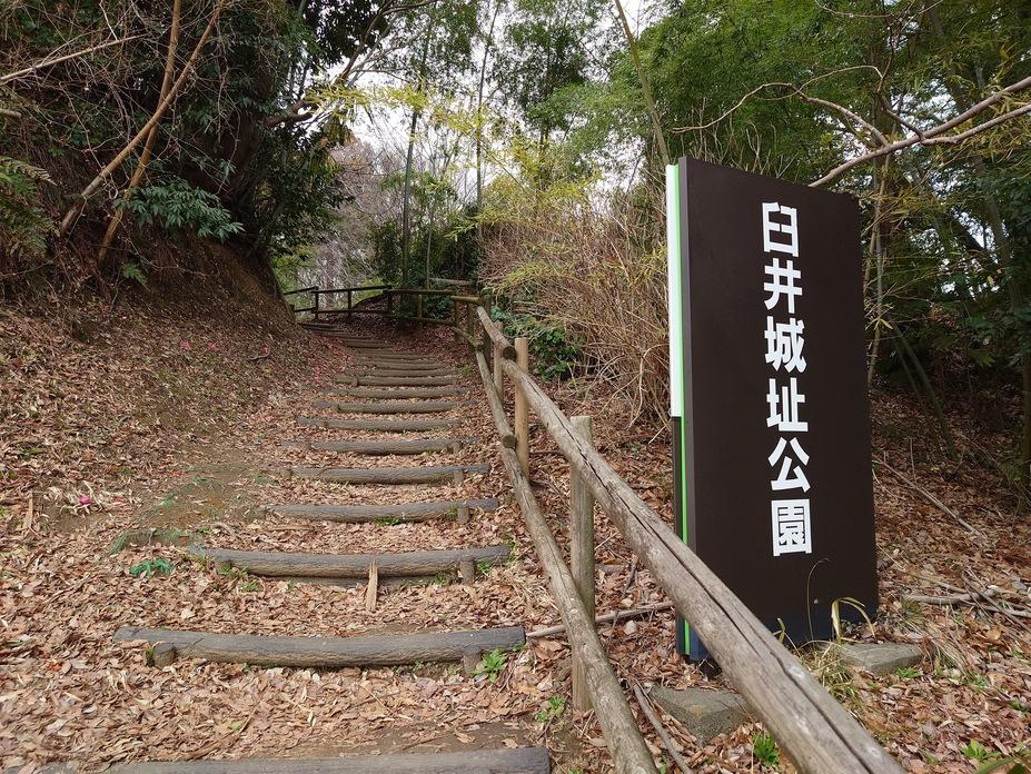 臼井城