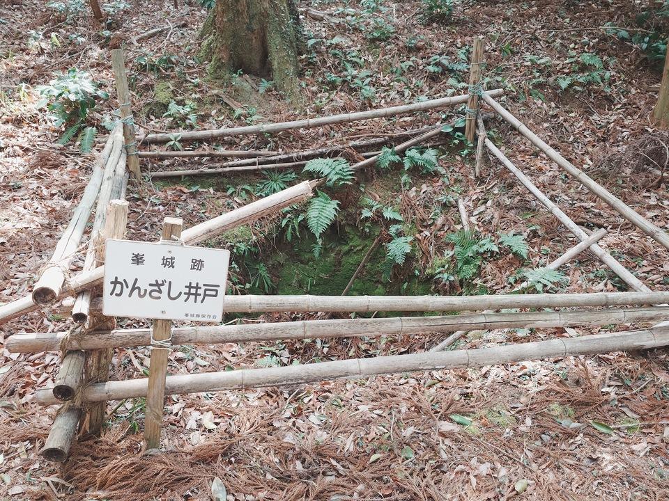 峯城
