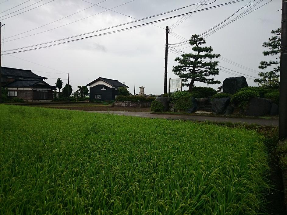蓮沼城