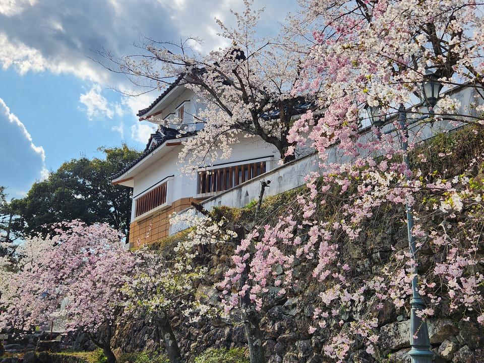 小倉山城