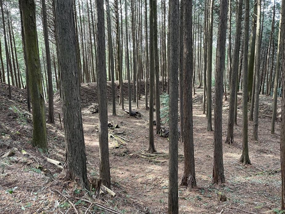 和田城