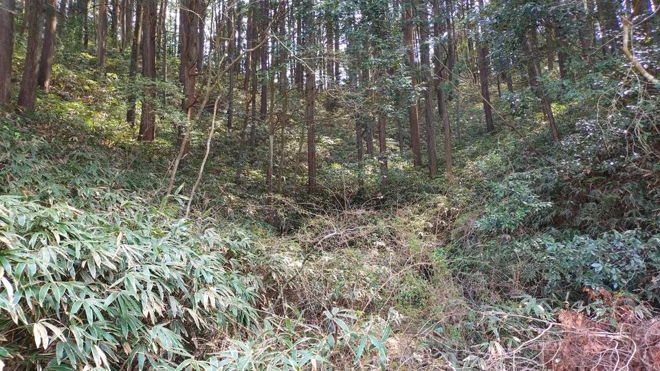 水間城