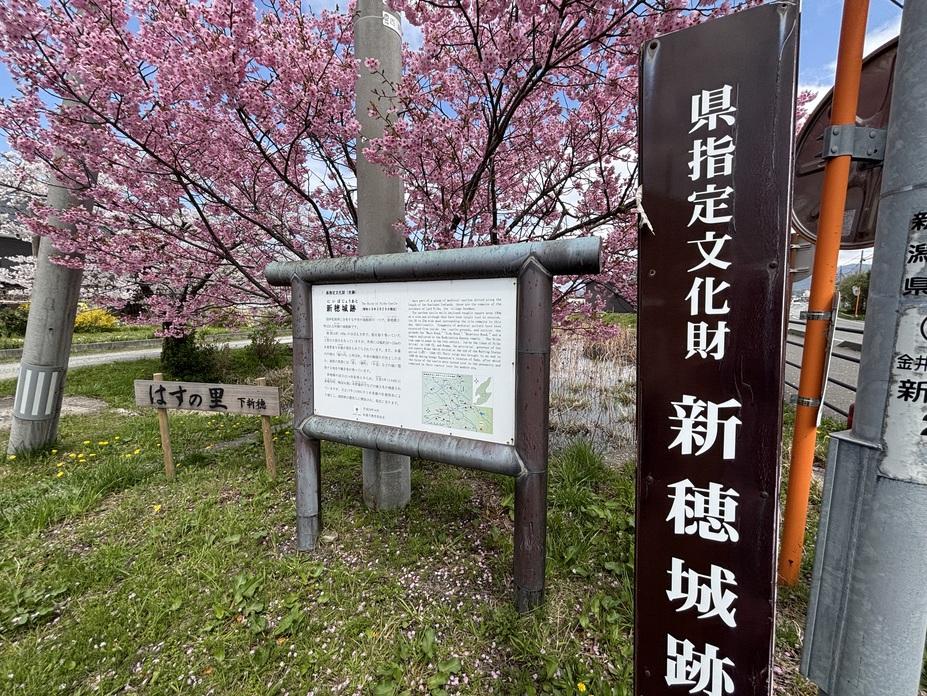 新穂城