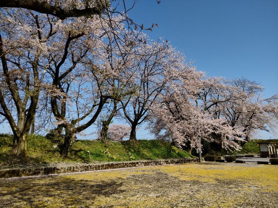 若栗城