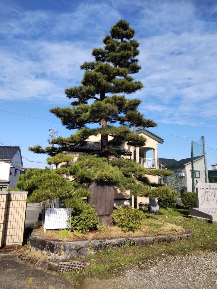 魚津城