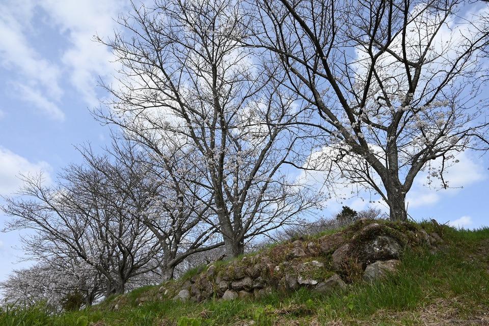 日野江城