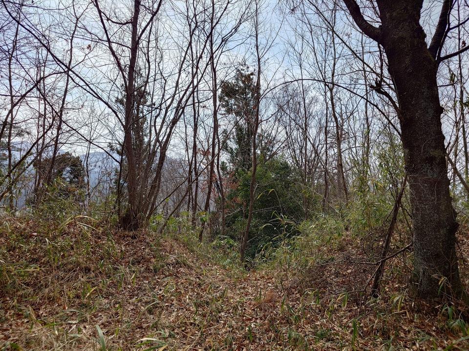 横尾八幡城